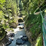 Allgaeu - Gemuetliche Huettenatmosphaere Und Schwimmbad Und Sauna Im Ha By Interhome Apartment